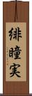 緋瞳実 Scroll