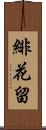 緋花留 Scroll