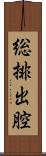 総排出腔 Scroll