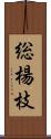 総楊枝 Scroll