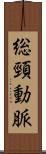 総頸動脈 Scroll