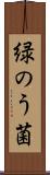 緑のう菌 Scroll