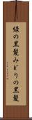 緑の黒髪 Scroll