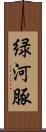 緑河豚 Scroll