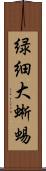 緑細大蜥蜴 Scroll