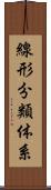 線形分類体系 Scroll
