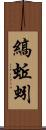 縞蚯蚓 Scroll