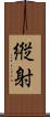 縦射 Scroll