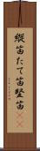縦笛 Scroll