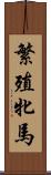 繁殖牝馬 Scroll