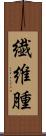 繊維腫 Scroll