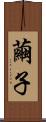 繭子 Scroll