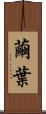 繭葉 Scroll