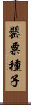 罌粟種子 Scroll