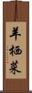 羊栖菜 Scroll