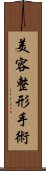 美容整形手術 Scroll