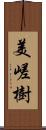 美嵯樹 Scroll