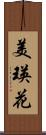 美瑛花 Scroll
