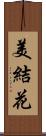 美結花 Scroll