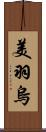 美羽烏 Scroll