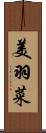 美羽菜 Scroll