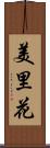 美里花 Scroll