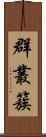 群;叢;簇 Scroll