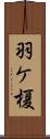羽ケ榎 Scroll