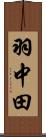 羽中田 Scroll