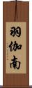 羽伽南 Scroll