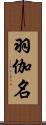 羽伽名 Scroll