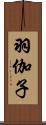 羽伽子 Scroll