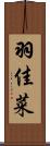羽佳菜 Scroll