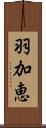 羽加恵 Scroll