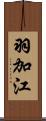 羽加江 Scroll