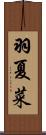 羽夏菜 Scroll