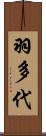 羽多代 Scroll