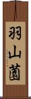 羽山薗 Scroll