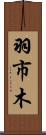 羽市木 Scroll