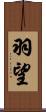 羽望 Scroll