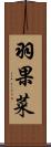 羽果菜 Scroll