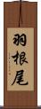 羽根尾 Scroll