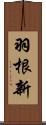 羽根新 Scroll