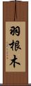 羽根木 Scroll