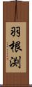 羽根渕 Scroll