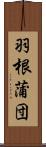 羽根蒲団 Scroll