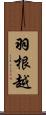 羽根越 Scroll