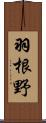 羽根野 Scroll