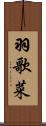 羽歌菜 Scroll