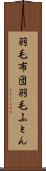 羽毛布団 Scroll